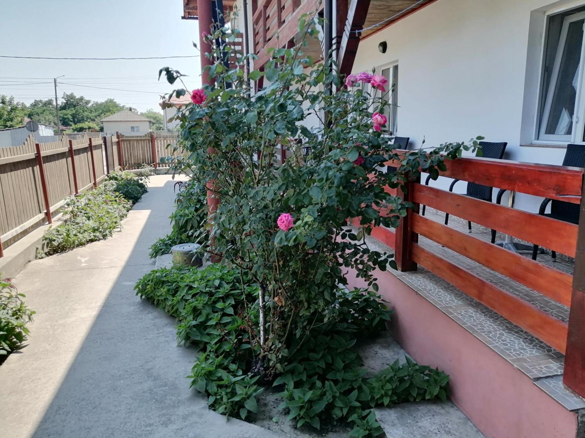 Hotel Casa Steaua De Mare à Sulina Extérieur photo